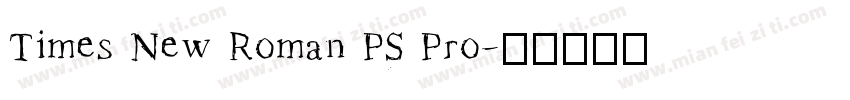 Times New Roman PS Pro字体转换